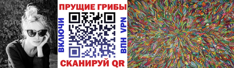 Купить закладки  Болхов  Галлюциногенные грибы Psilocybine cubensis 